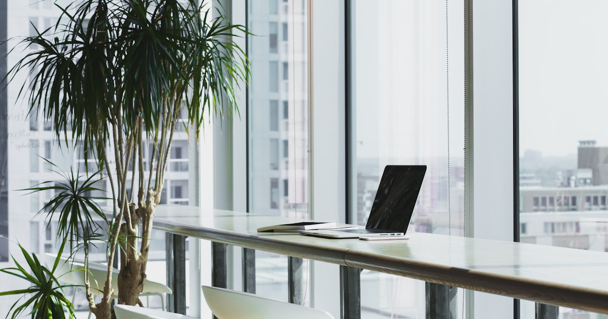 Luto no Trabalho: Direitos e Licenças em Portugal